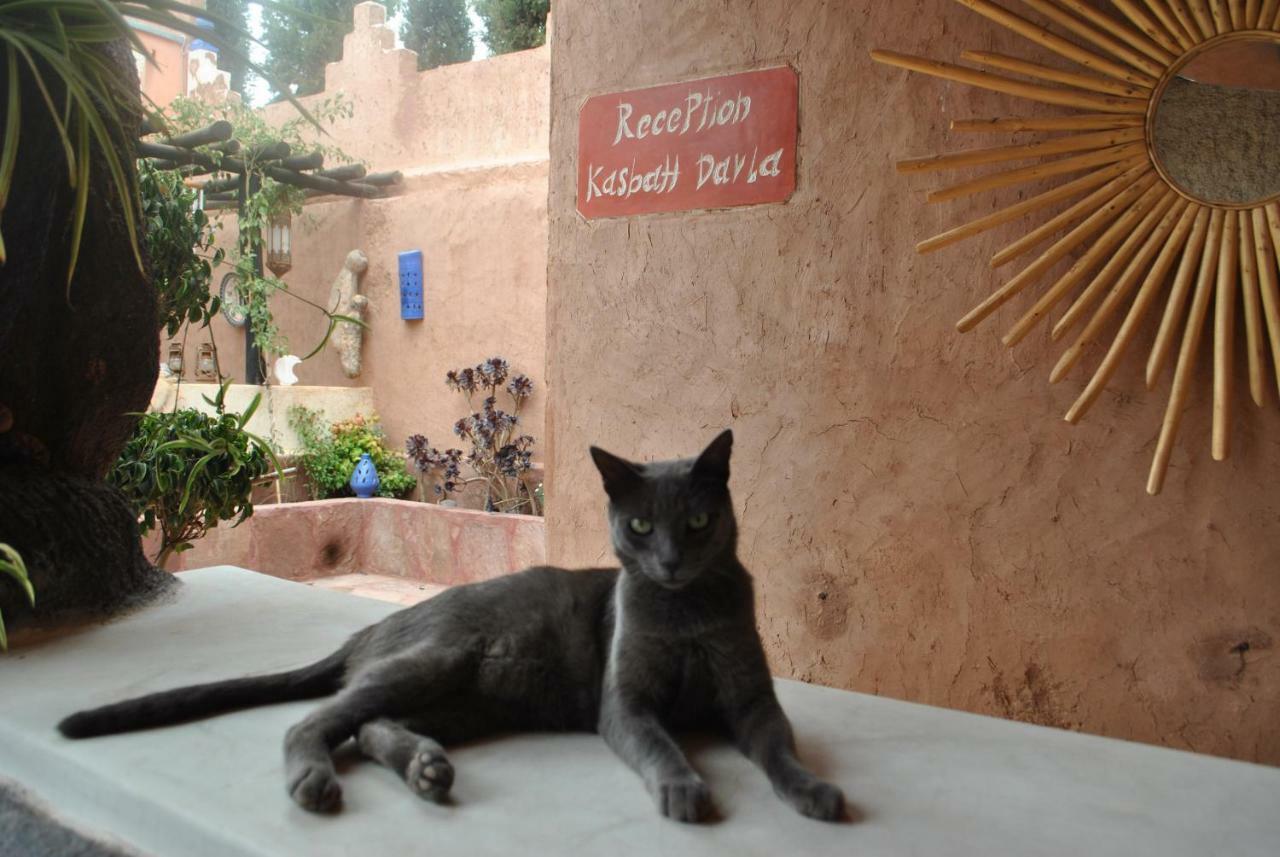 Auberge Kasbah Darla Tahanaout Zewnętrze zdjęcie
