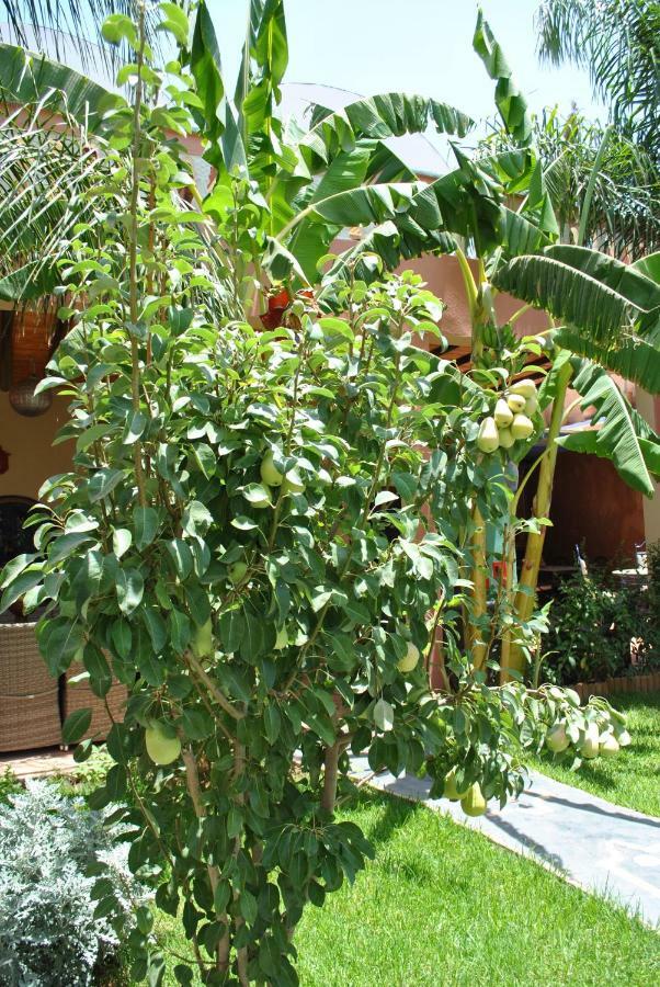 Auberge Kasbah Darla Tahanaout Zewnętrze zdjęcie